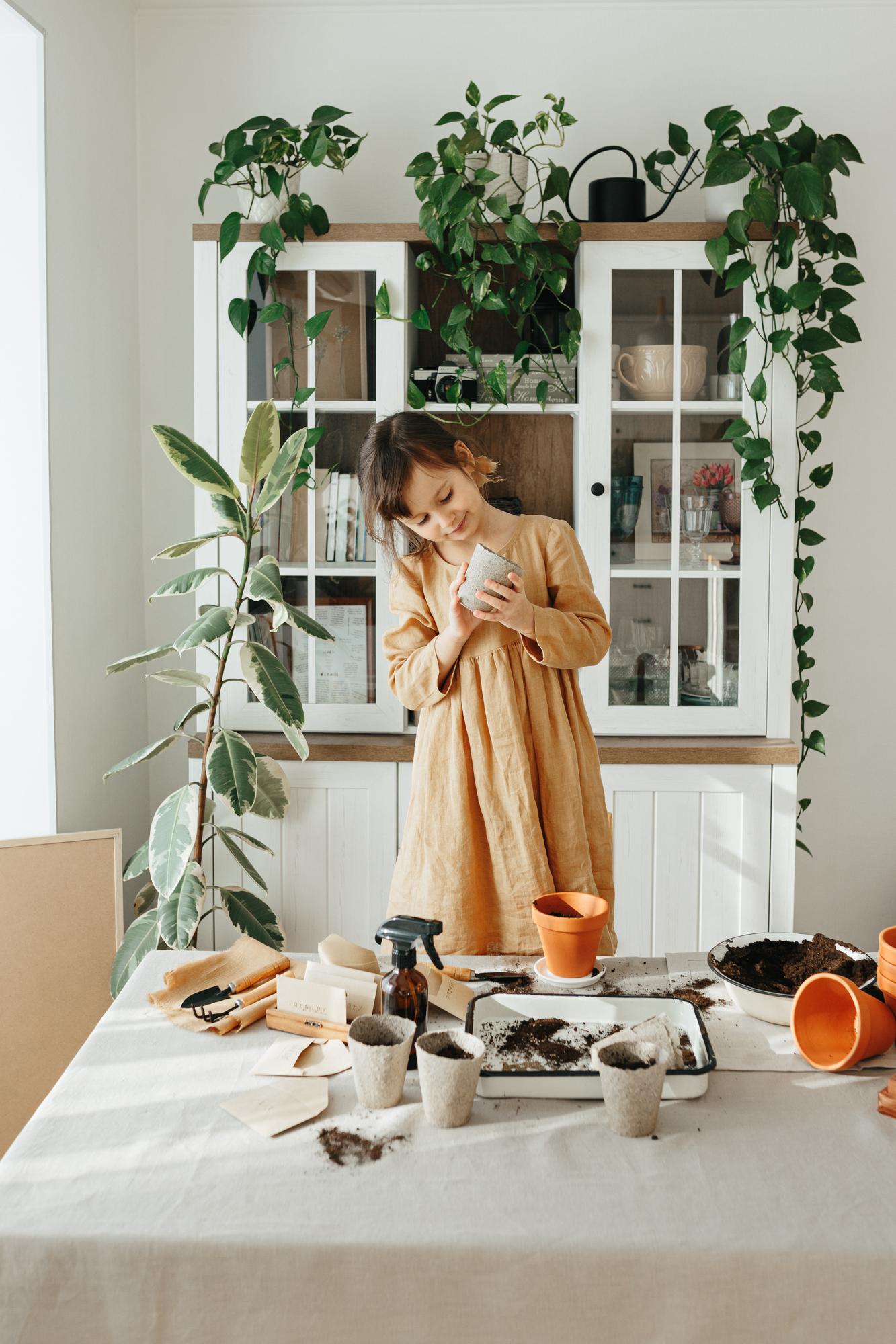 Cozy kitchen studio corner